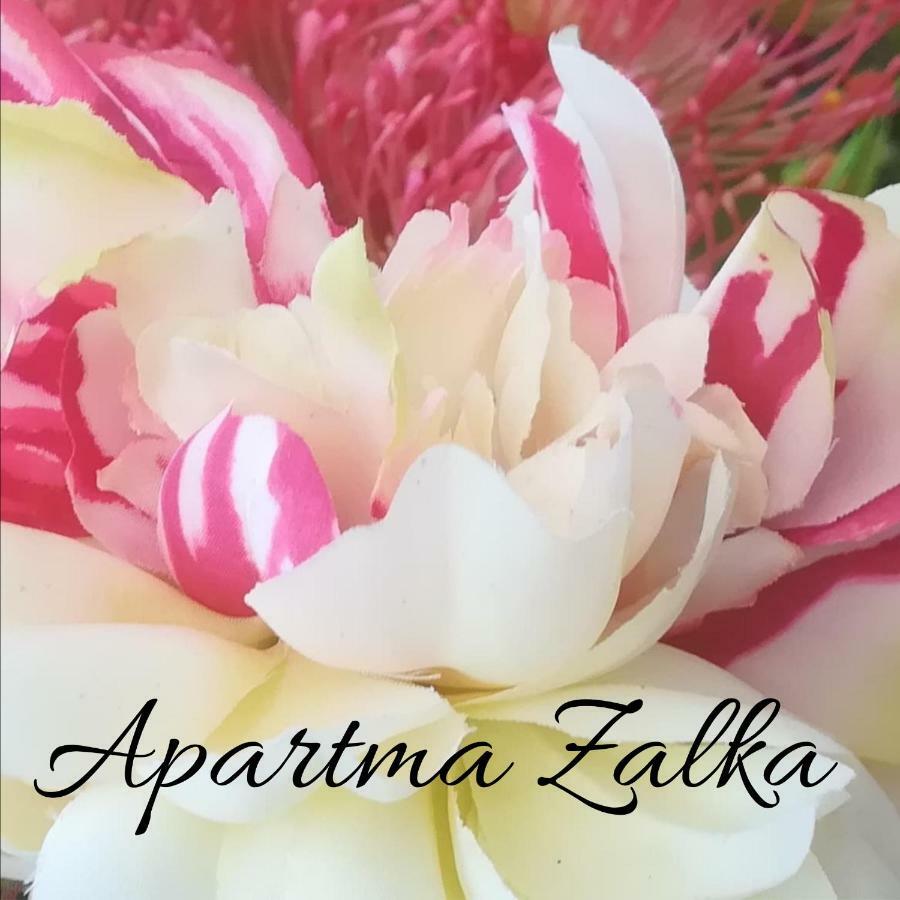Apartma Zalka Ізола Екстер'єр фото
